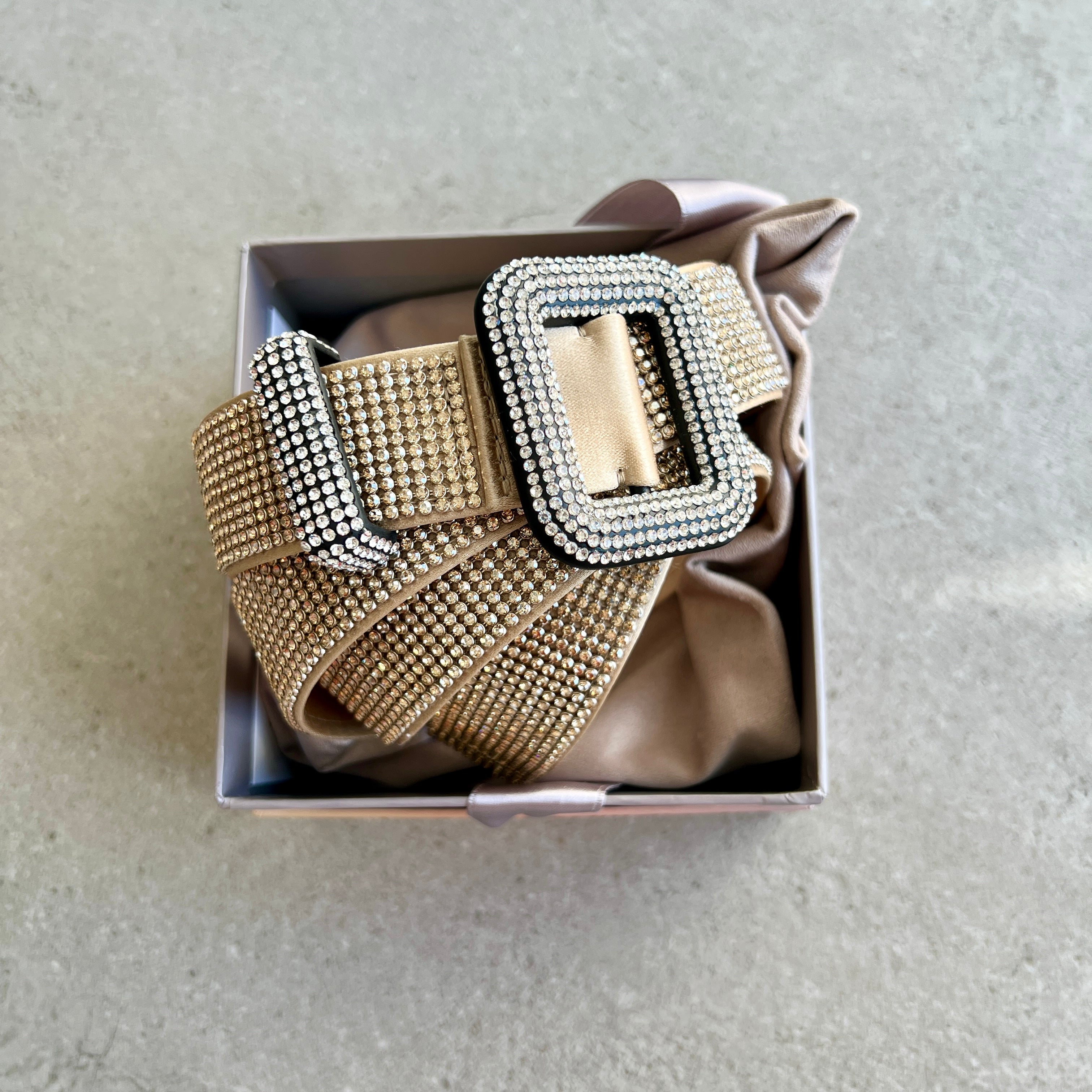 Benedetta Bruzziches Venus Belt, Crazy Diamond – CULTSTATUS