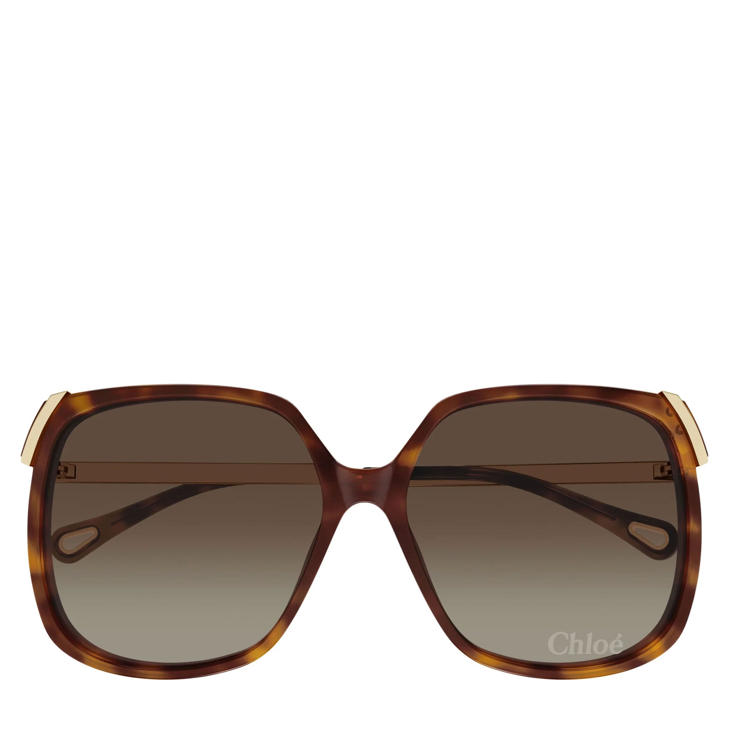 Chloe Sun CH0286S Aly 70's Square Sunglasses, Gold/Havana – CULTSTATUS