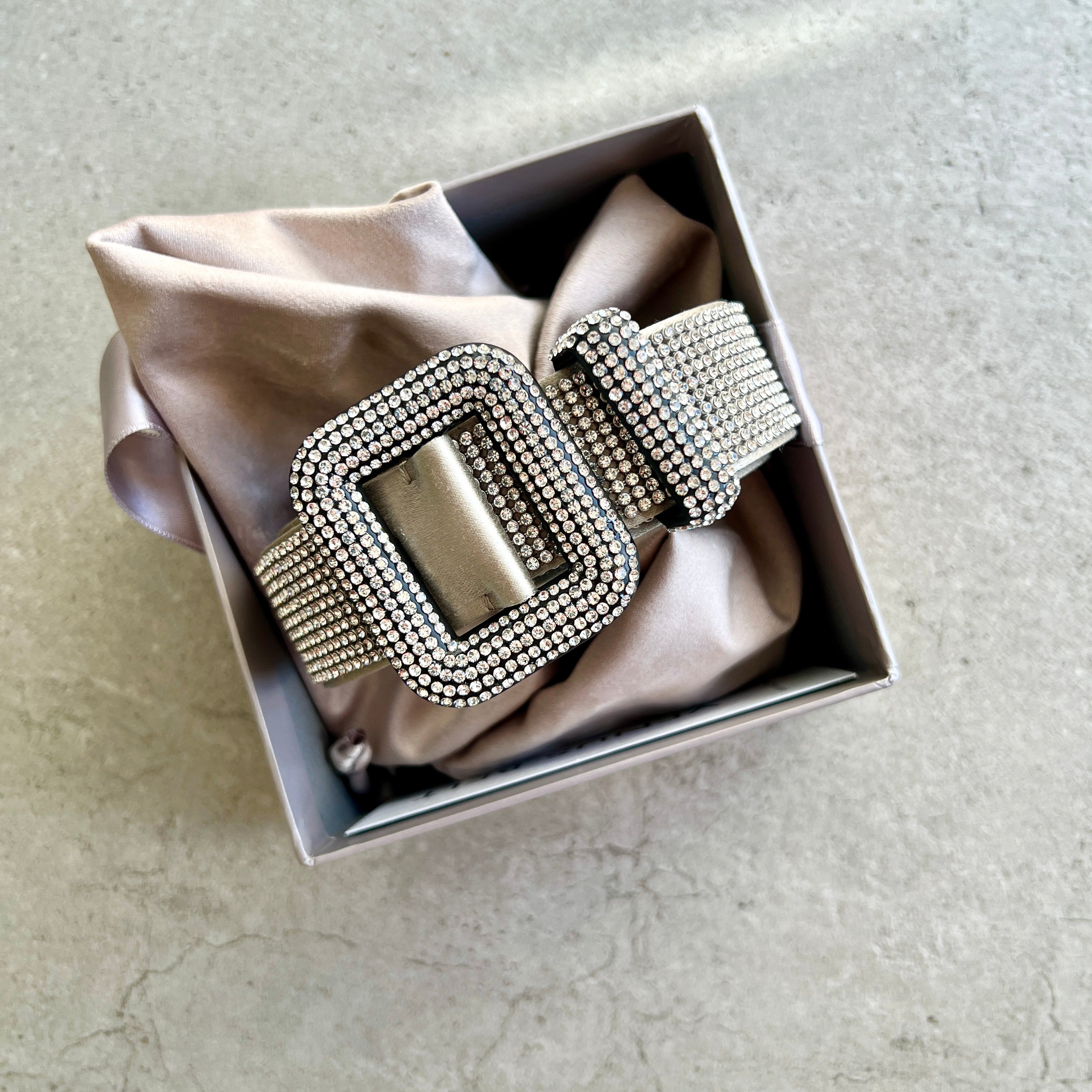 Benedetta Bruzziches Venus Belt, Silver – CULTSTATUS