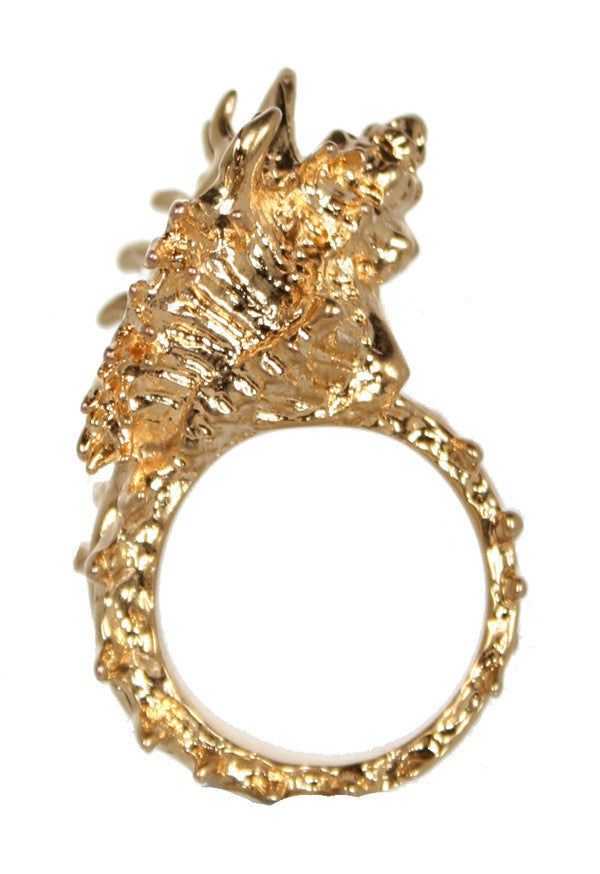Gold Shell Skull Ring – CULTSTATUS